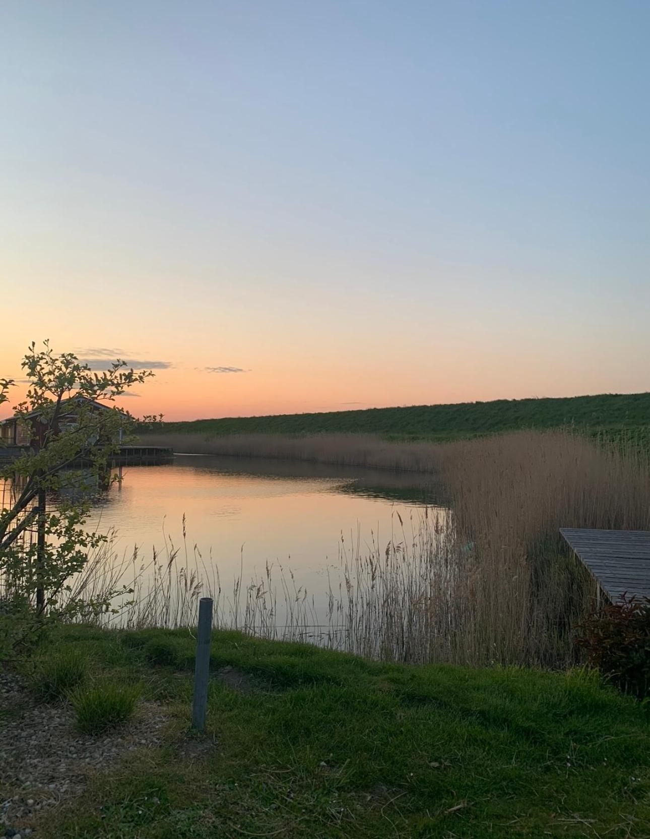 Vakantiewoning De Bosrand Aan Zee Sint Annaland Exteriér fotografie