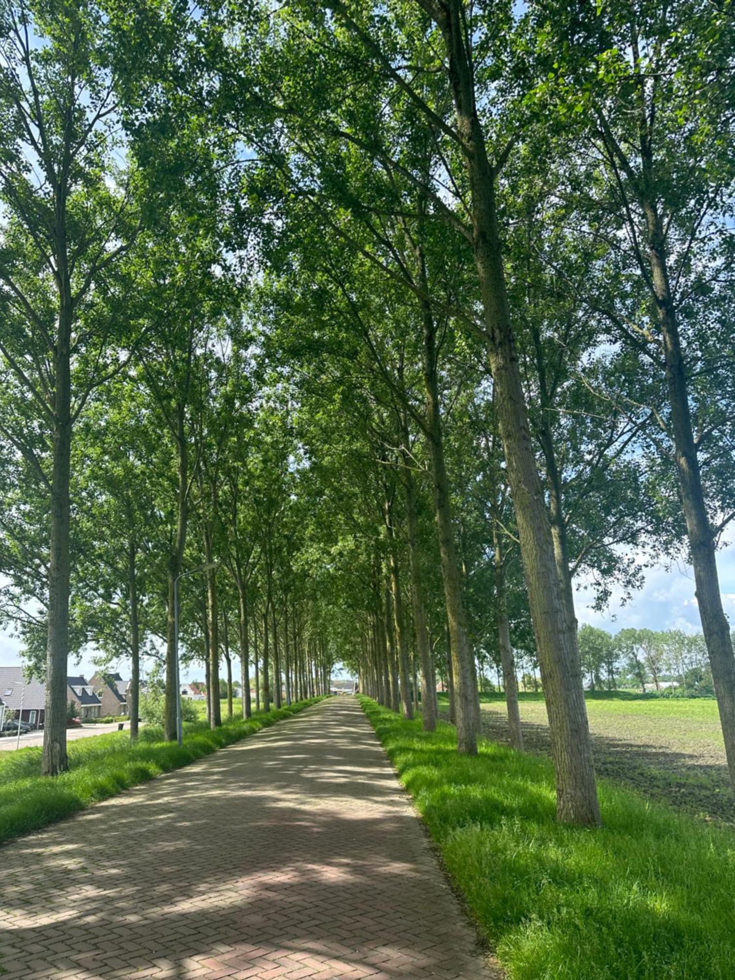Vakantiewoning De Bosrand Aan Zee Sint Annaland Exteriér fotografie